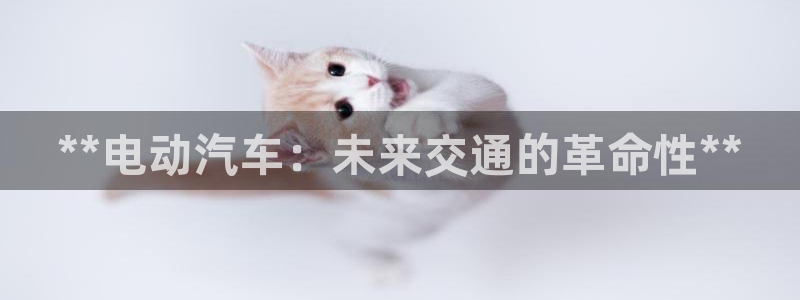 优发国际官方网平台