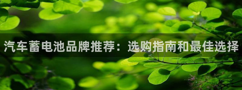 优发国际的官网是