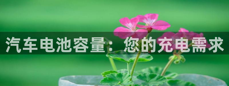 优发国际手机客户端下载不了