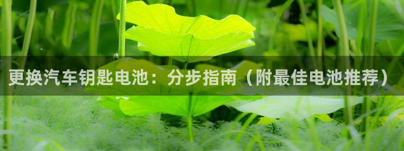 优发国际手机客户端怎么下载