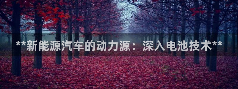 优发国际网官网17w8