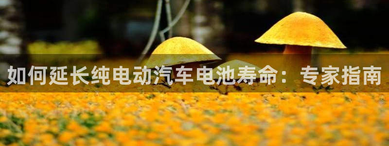 优发国际手机客户端下载官网