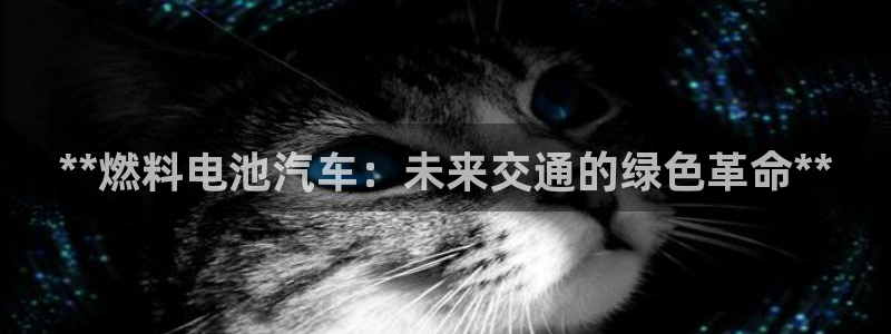 优发国际一首页