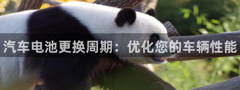 优发国际平台g8怎么样