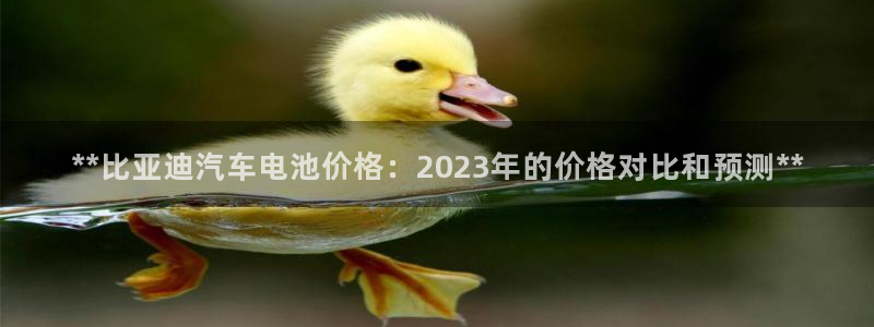优发国际集团股份有限公司是国企吗