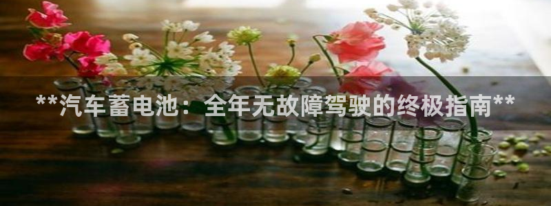 优发国际电话