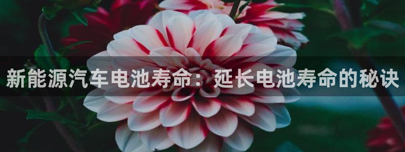 优发国际这个平台怎么样知乎