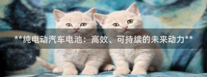 优发国际平台g80