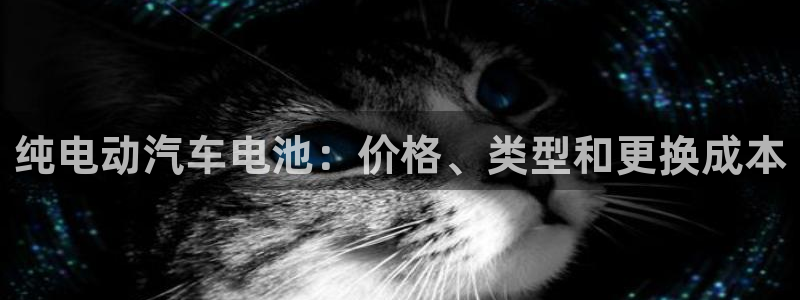优发国际平台手机版下载