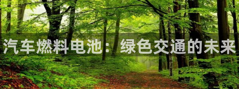 优发国际手机版客户端