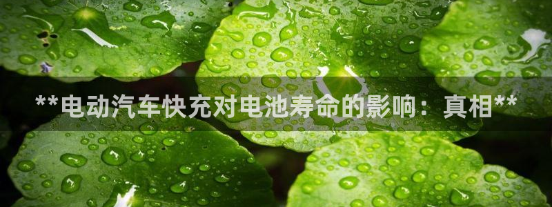 优发国际官网首页