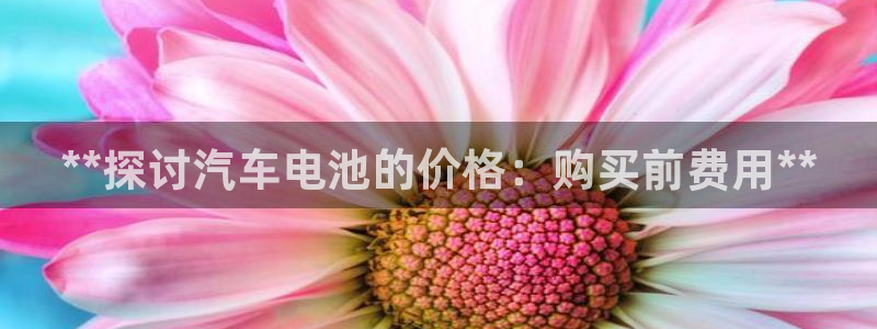 优发国际这个平台怎么样