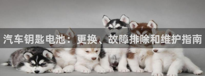 优发国际官方网手机版