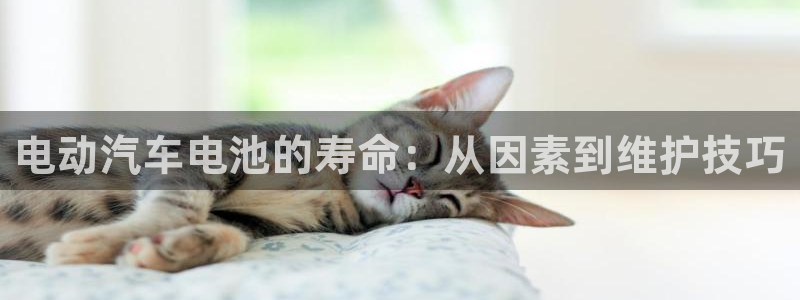 优发国际手机客户端下载