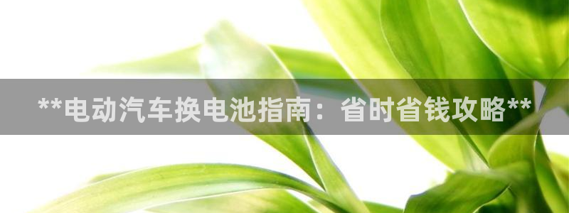 优发国际免费游戏下载