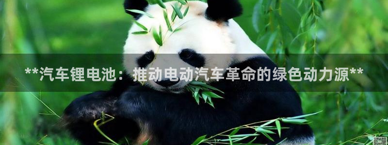 优发国际网官网