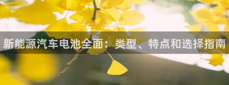 优发国际的官网是什么