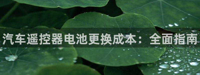 优发国际 干什么的