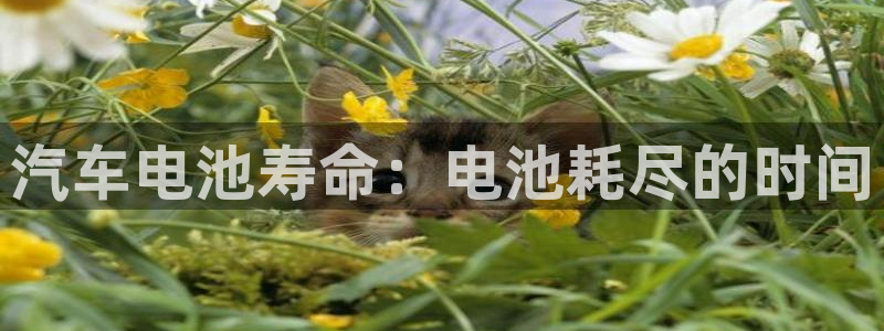优发国际手机版客户端下载