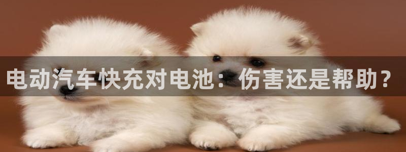 优发国际集团股份有限公司是国企吗