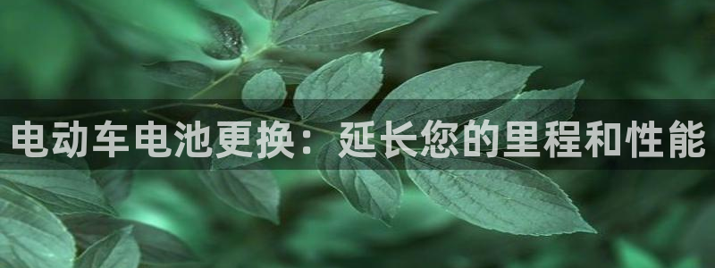 优发国际软件下载官网