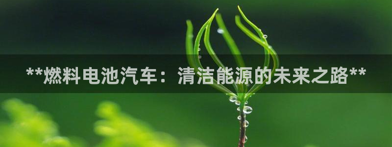 优发国际这个平台怎么样啊