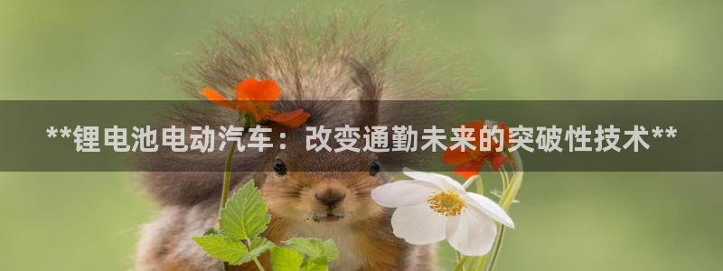 优发国际官方网平台电话