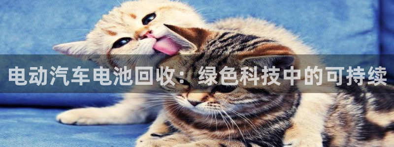 优发国际官网是多少号码