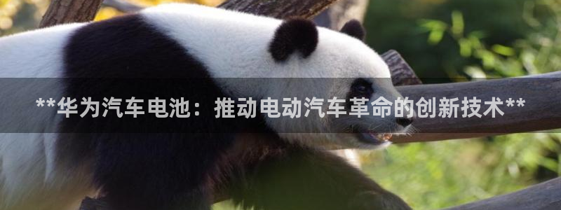 优发国际游戏官网
