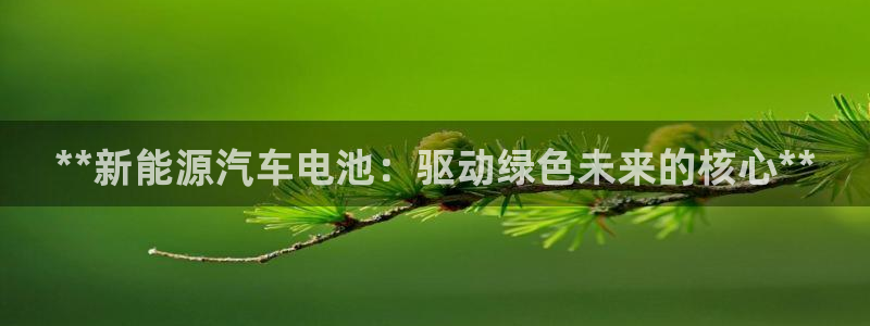 优发国际不出款了吗