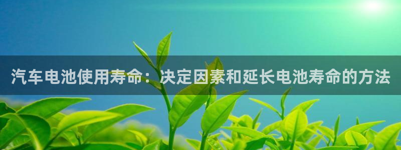 优发国际合并到哪里了