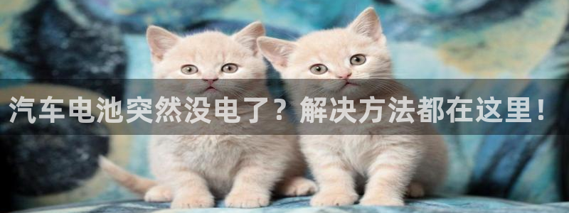 优发国际娱乐官网多少?