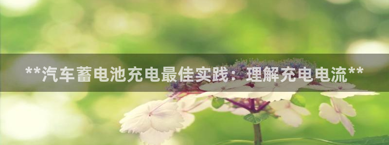 优发国际网官网17o8