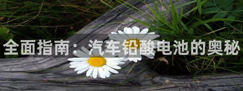 优发国际登录168