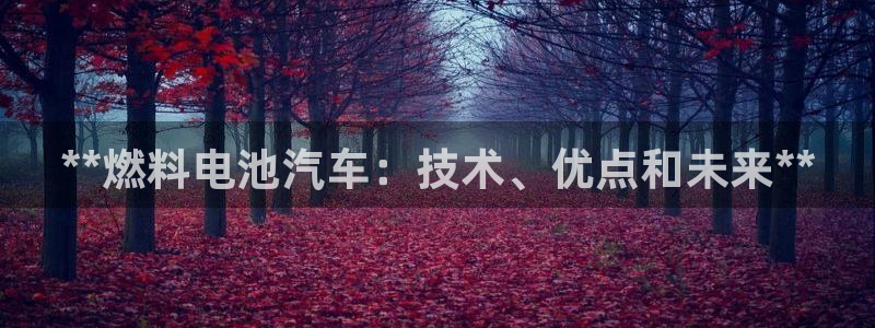 优发国际官网手机版下载安装