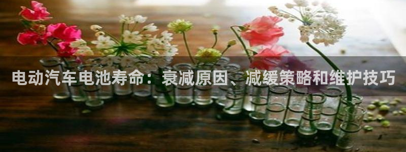 优发国际登录首页官网