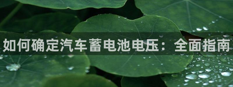 优发国际平台18