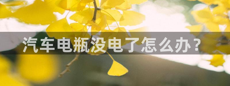 优发国际手机版下载官网