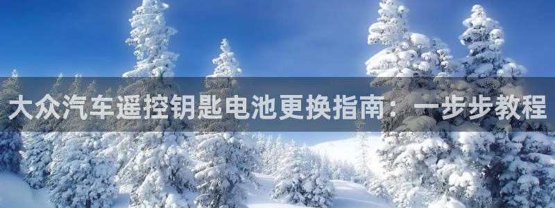 优发国际网官网17o8