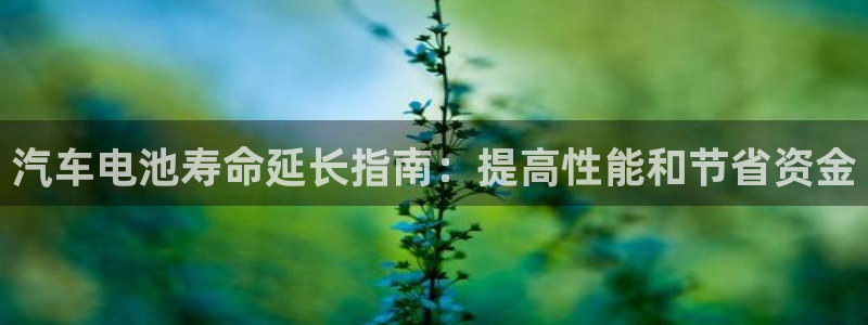 优发国际手机app下载安装官网
