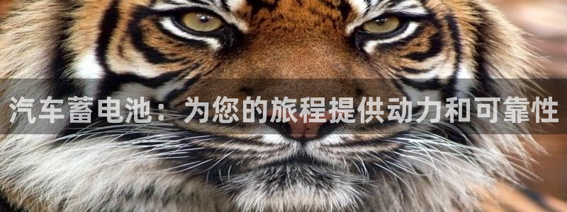 优发国际首页首页y6