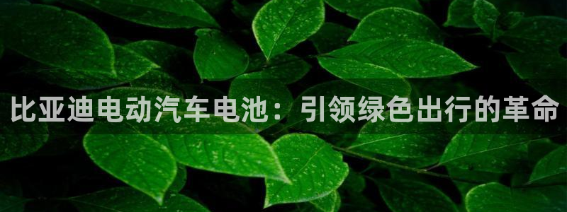 优发国际官方网手机版下载安装