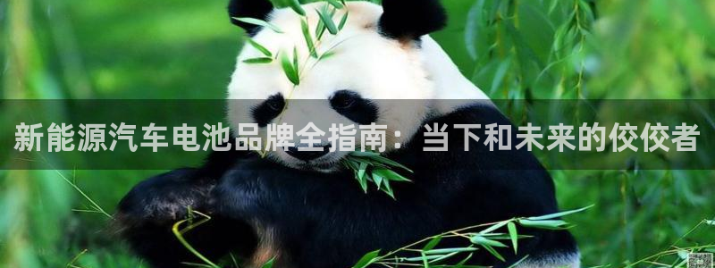 优发国际游戏网站