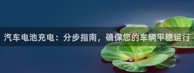 优发国际手机app下载安装