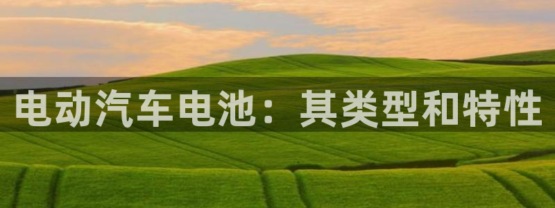 优发国际线上娱官网