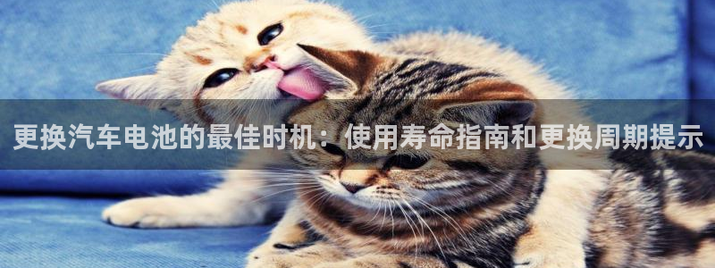 优发国际手机版官网入口