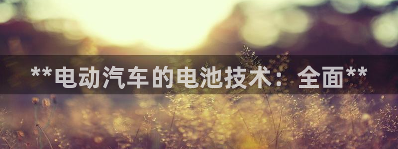 优发国际平台u8是什么公司