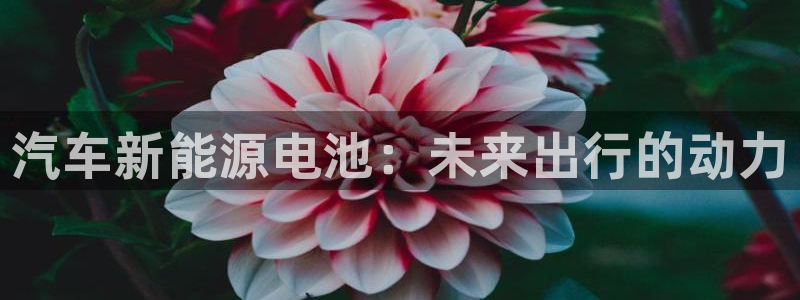 优发国际集团股份有限公司是国企吗