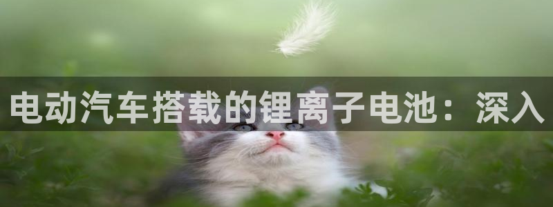 优发国际平台u8