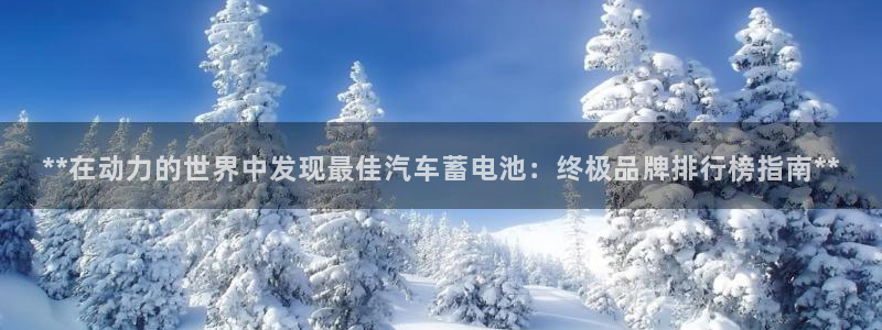 优发国际网站官网